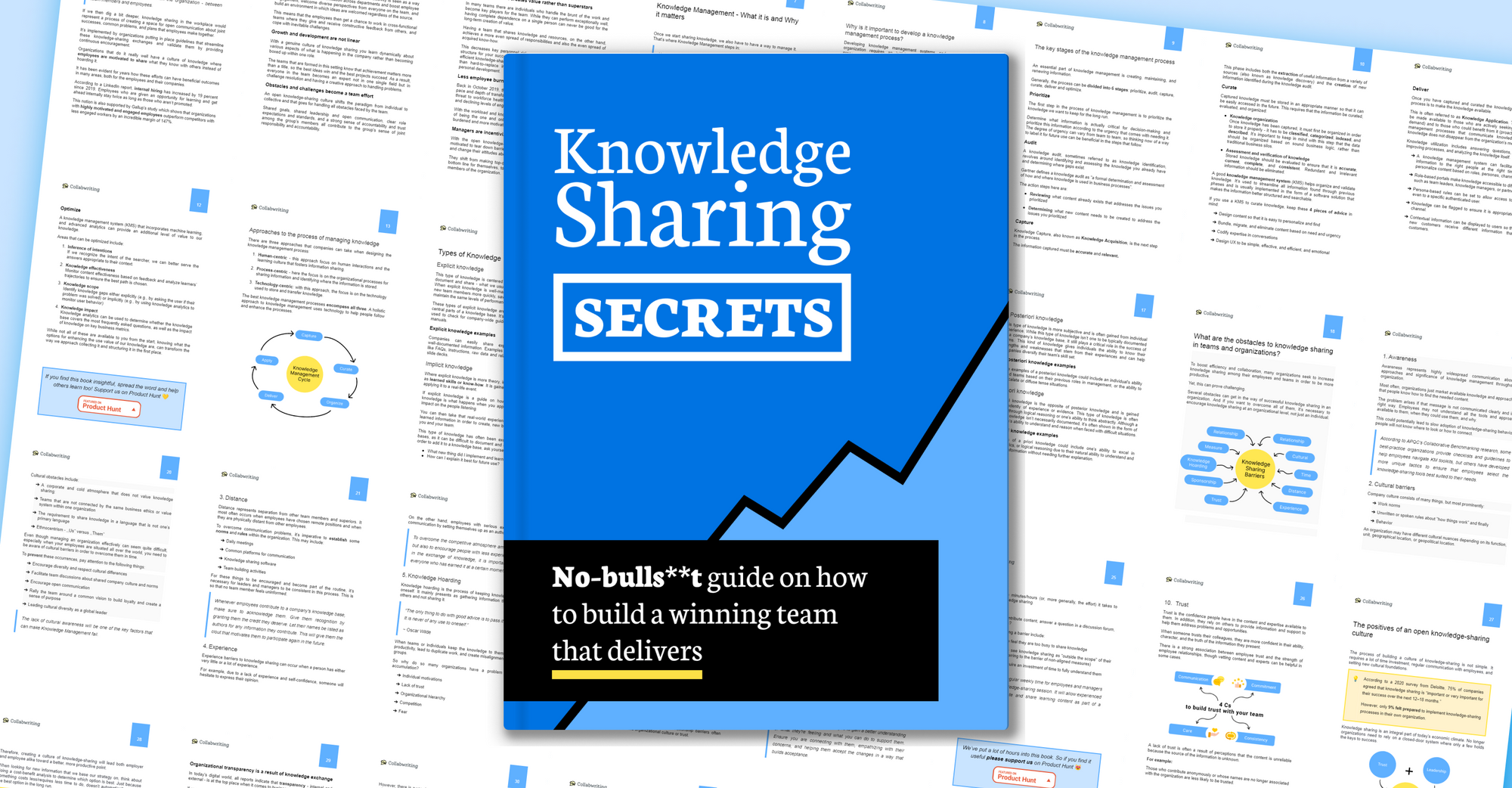 Knowledge Sharing - Strategies for building a unicorn team